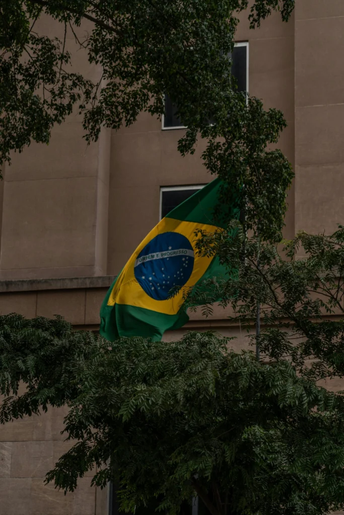 a flag from a tree a flag from a tree