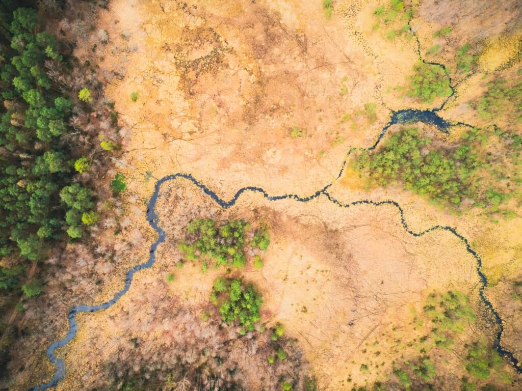 an aerial view of a river running through a forest an aerial view of a river running through a forest