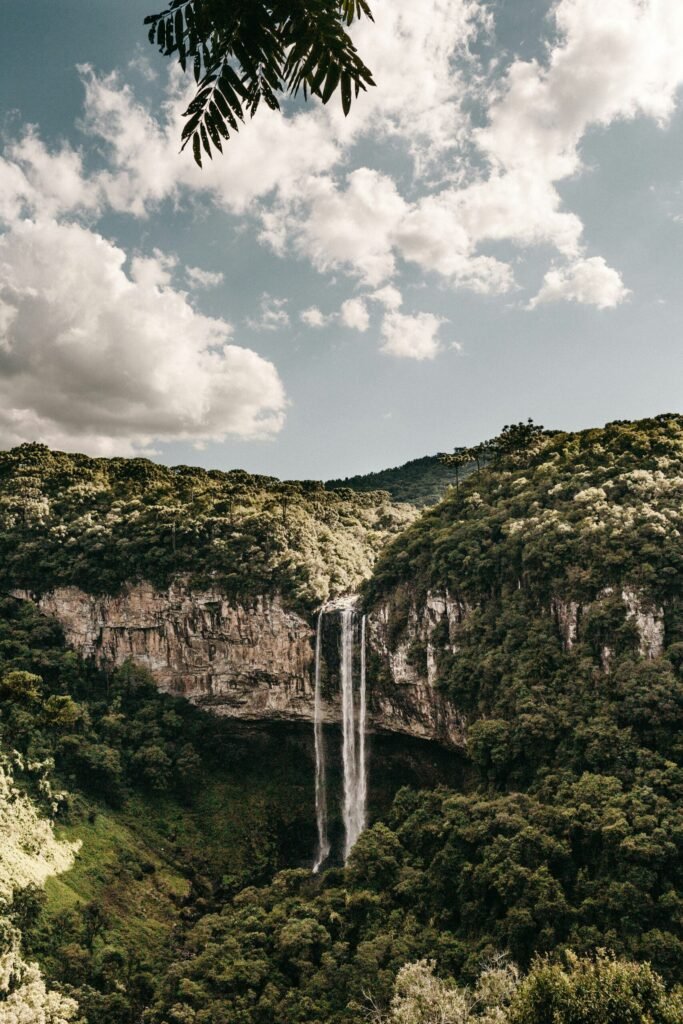 water falls beside trees in nature photography water falls beside trees in nature photography